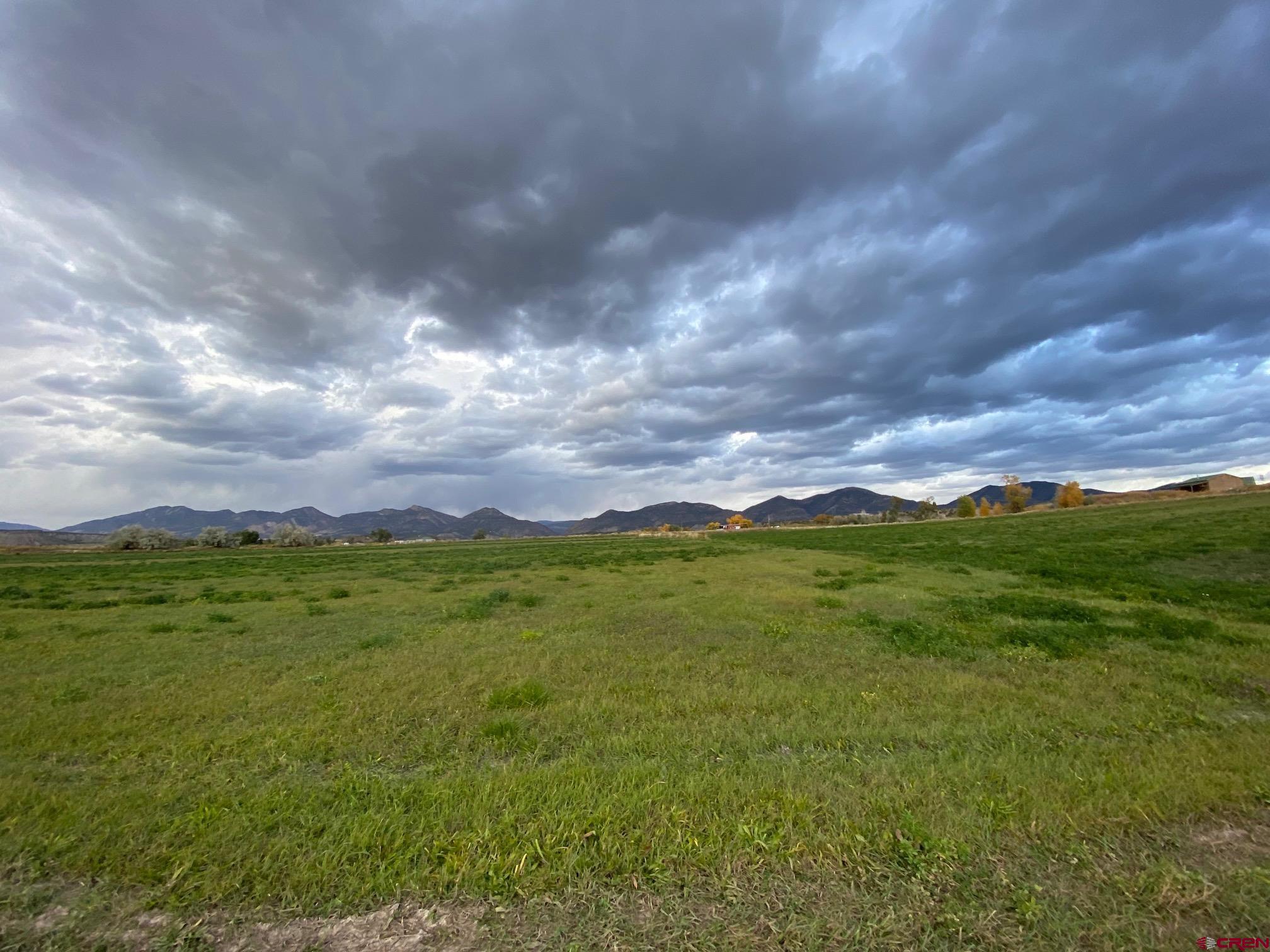 233 County Road 233 Rifle, CO 81650 - Photo 24 of 30 a view of a big yard with lots of green space