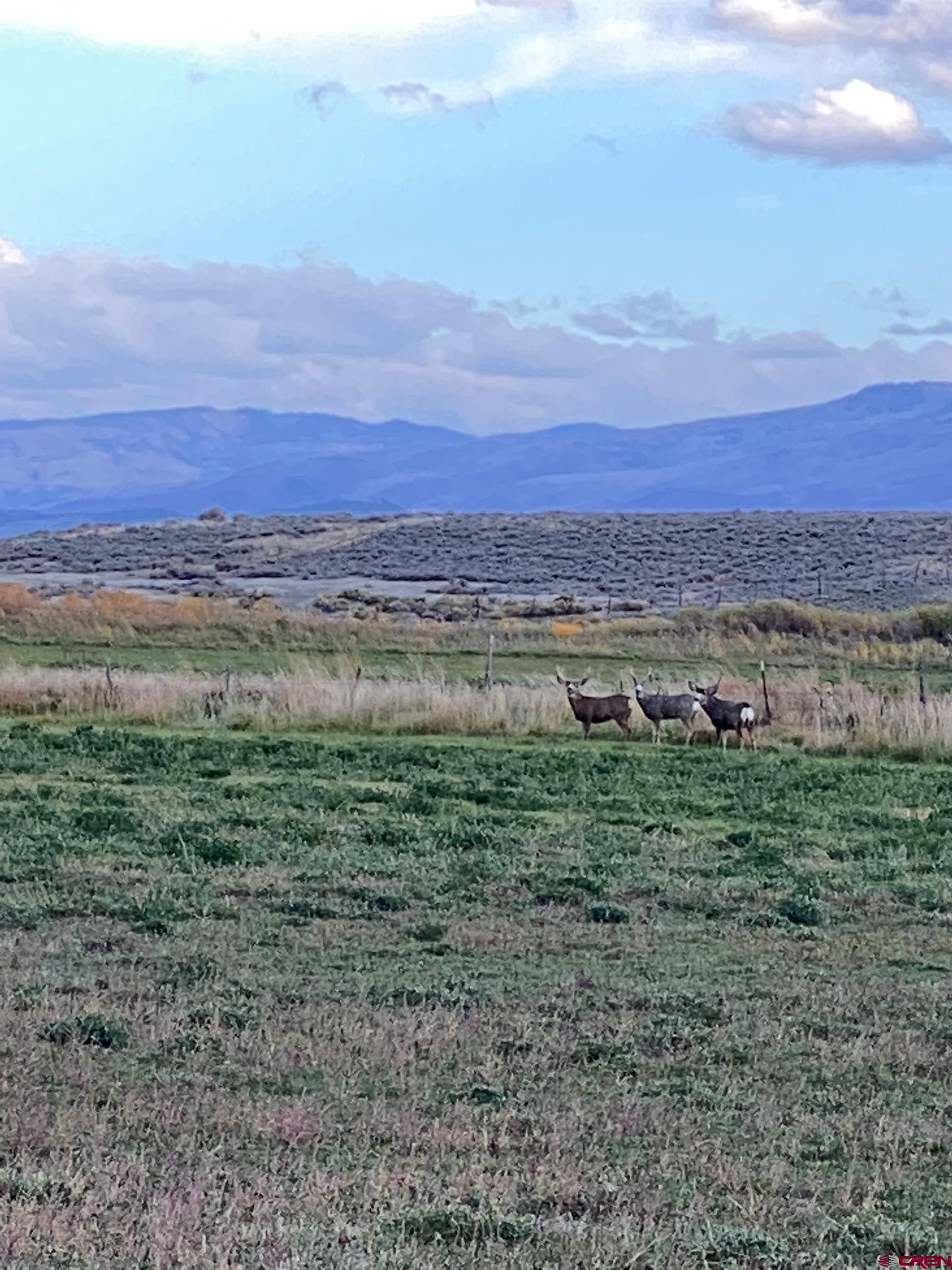 233 County Road 233 Rifle, CO 81650 - Photo 25 of 30 a view of outdoor space and city view