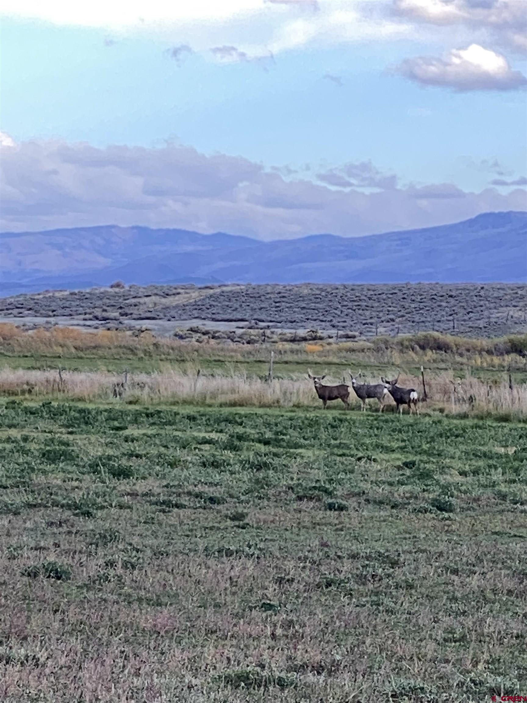 233 County Road 233 Rifle, CO 81650 - Photo 26 of 30 a view of an outdoor space with mountain view