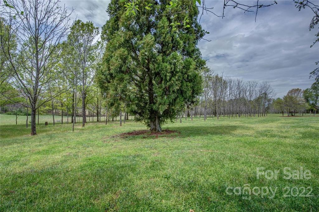 626 Elam Road Lawndale, NC 28090 - Photo 29 of 32 Gallery Image 29