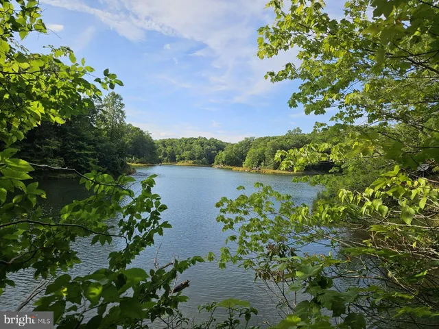a view of a lake with a garden