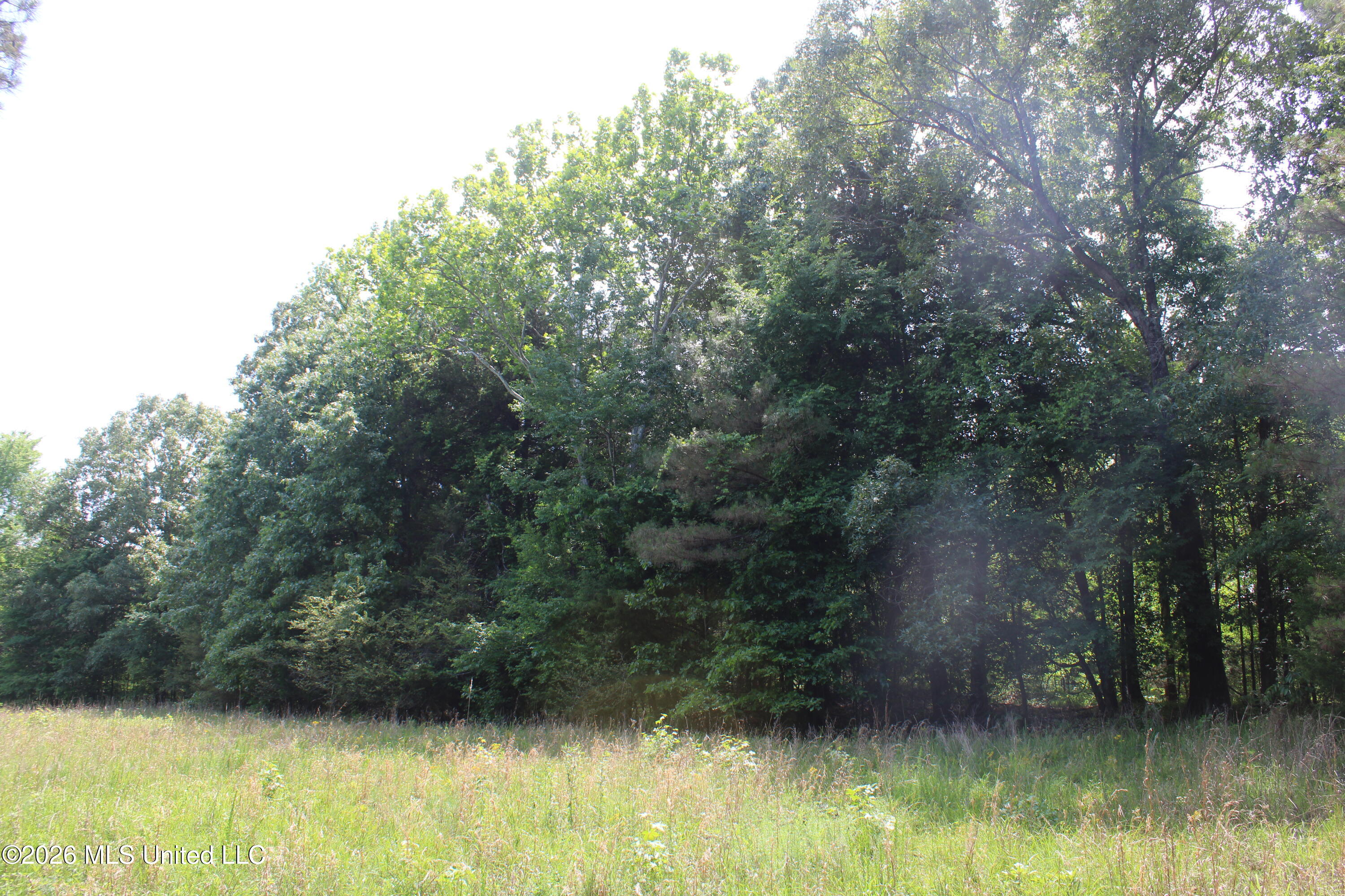 500 Boswell Road Holly Springs, MS 38635 - Photo 14 of 23 IMG_7800