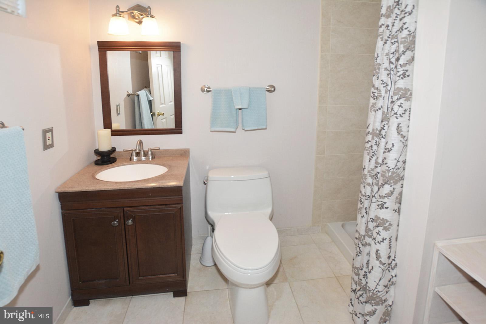 81 Rutherford Circle Sterling, VA 20165 - Photo 47 of 55 Full bath in lower level