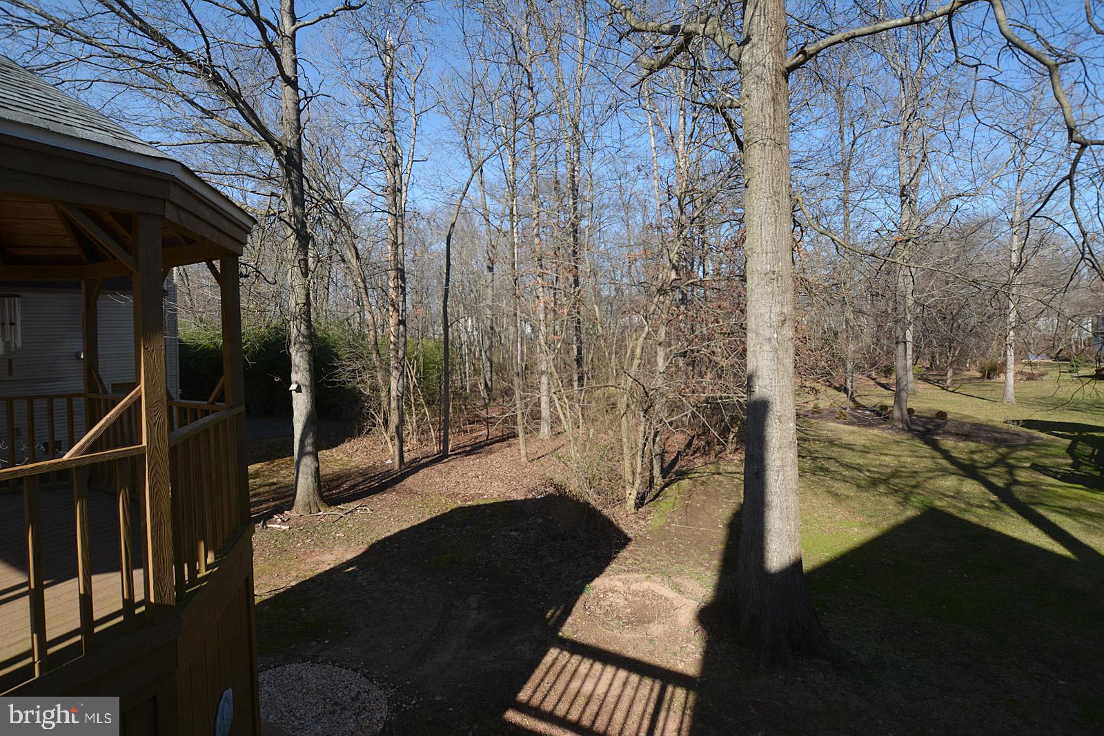 81 Rutherford Circle Sterling, VA 20165 - Photo 50 of 55 Lot overlooks common area with trees