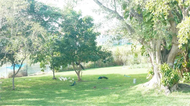 a view of yard with tree