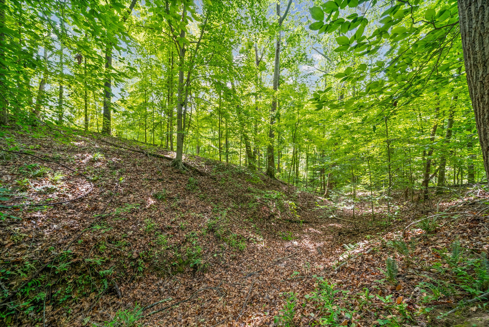 1 Budds Creek Road Palmyra, TN 37142 - Photo 39 of 76