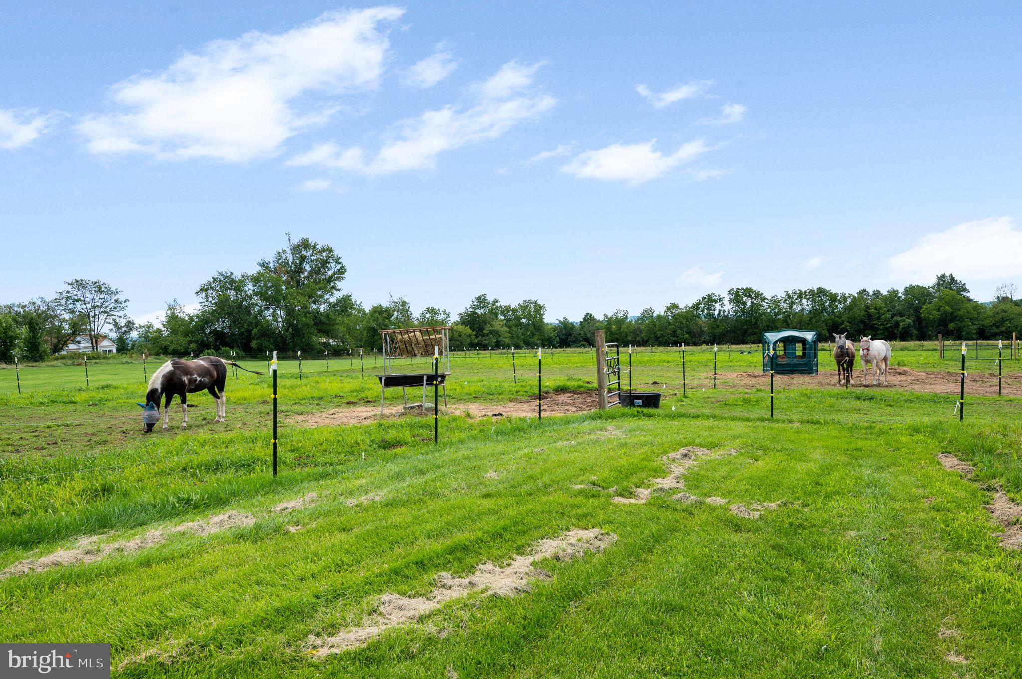 1908 Hoffmansville Road Frederick, PA 19435 - Photo 43 of 53