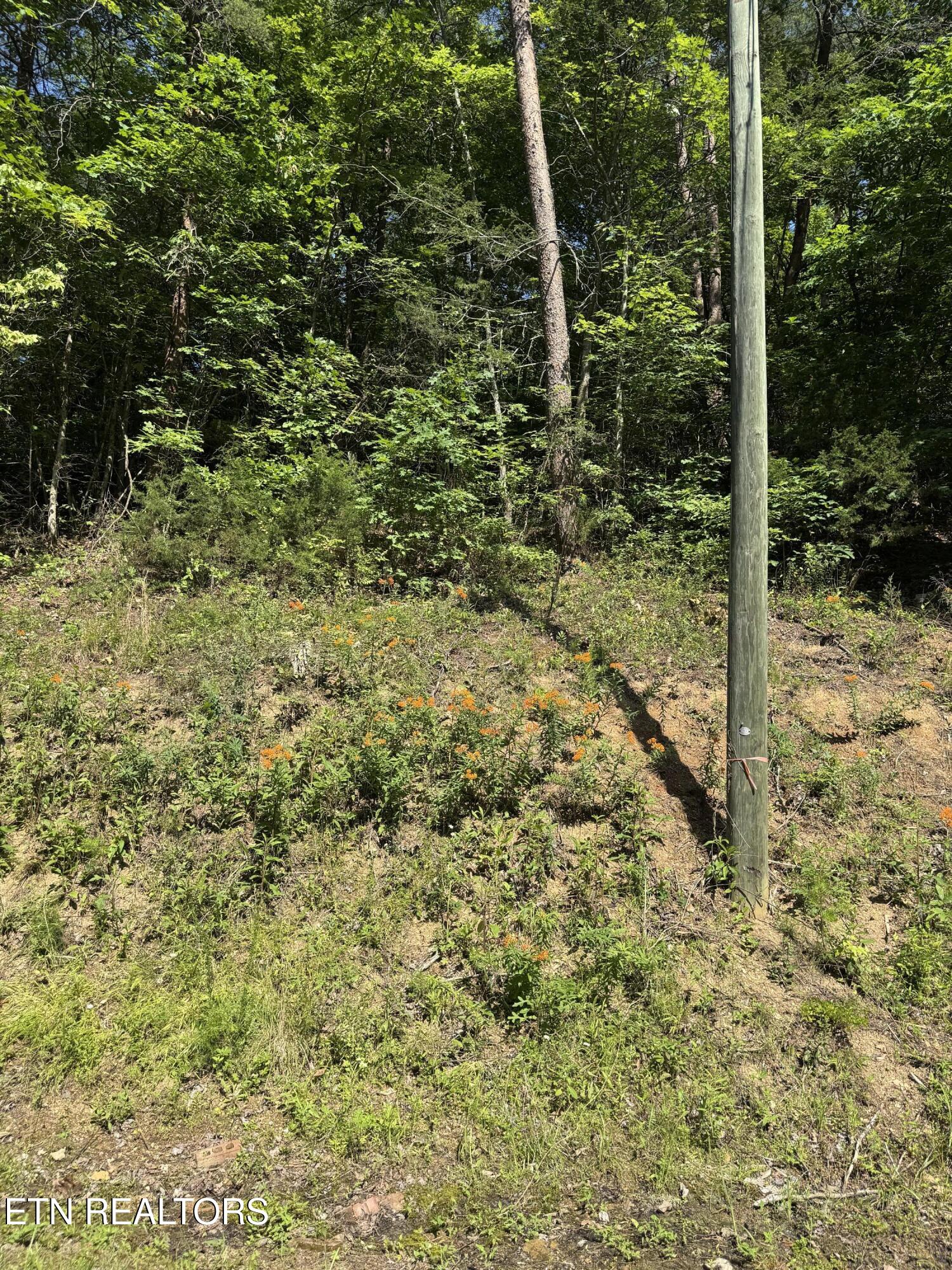 Lot 23 Walden Ridge Road Sevierville, TN 37862 - Photo 6 of 15 IMG_6030