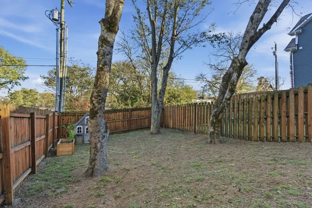 a view of a yard with a tree