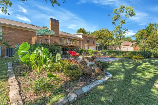 a view of a garden with plants