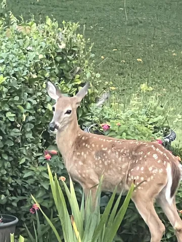 a view of outdoor space with trees all around