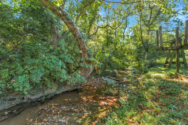 an aerial view of a house with a yard and potted plants