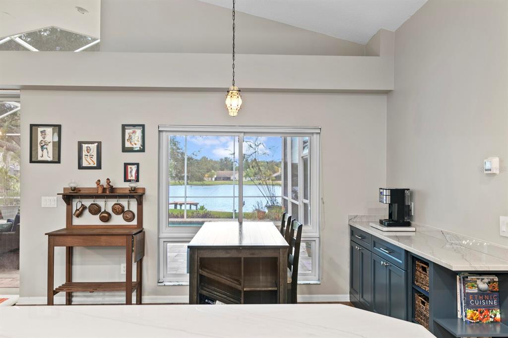 8412 Ridgebrook Circle Odessa, FL 33556 - Photo 38 of 87