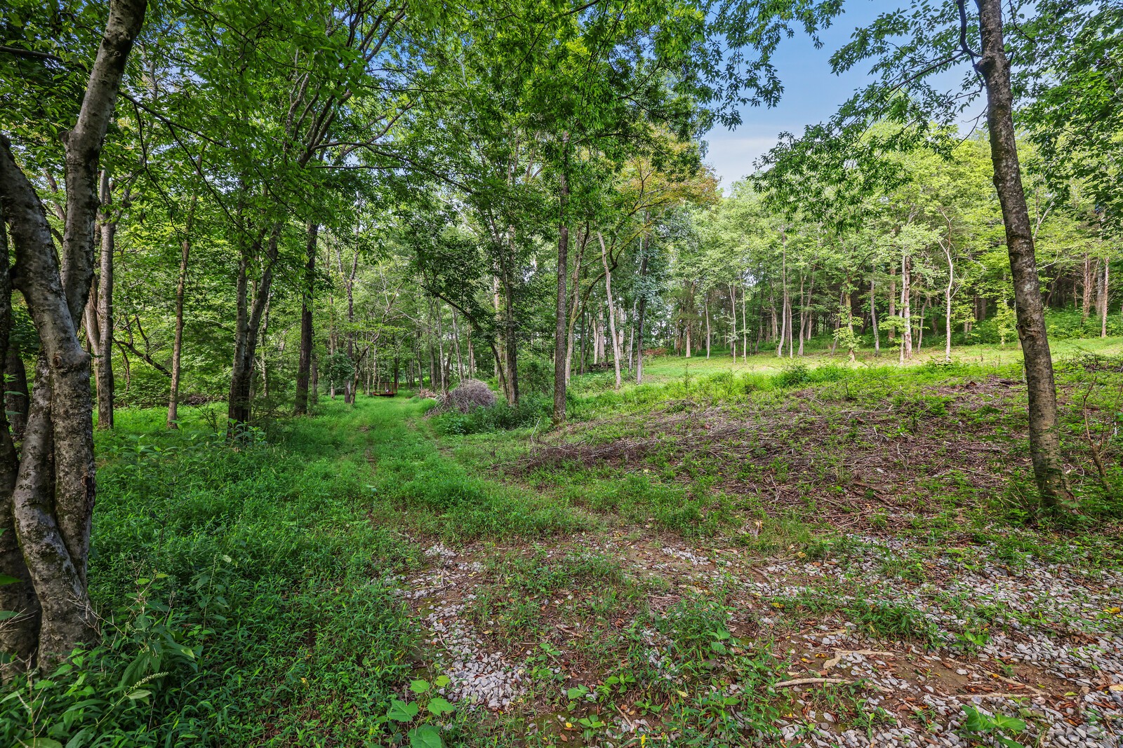 1408 Wallace Road Portland, TN 37148 - Photo 5 of 15 a view of outdoor space and yard