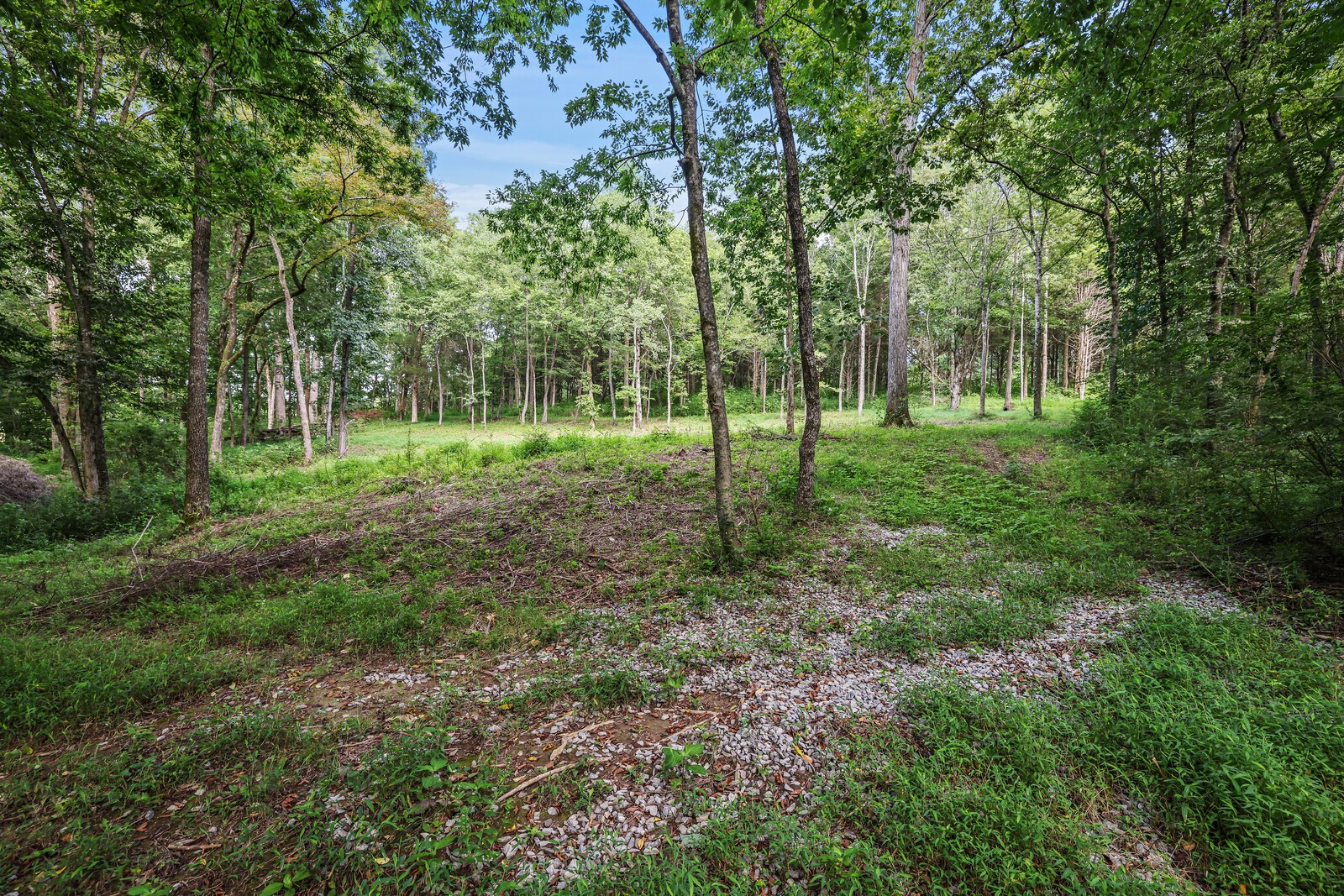 1408 Wallace Road Portland, TN 37148 - Photo 6 of 15 a view of a green field