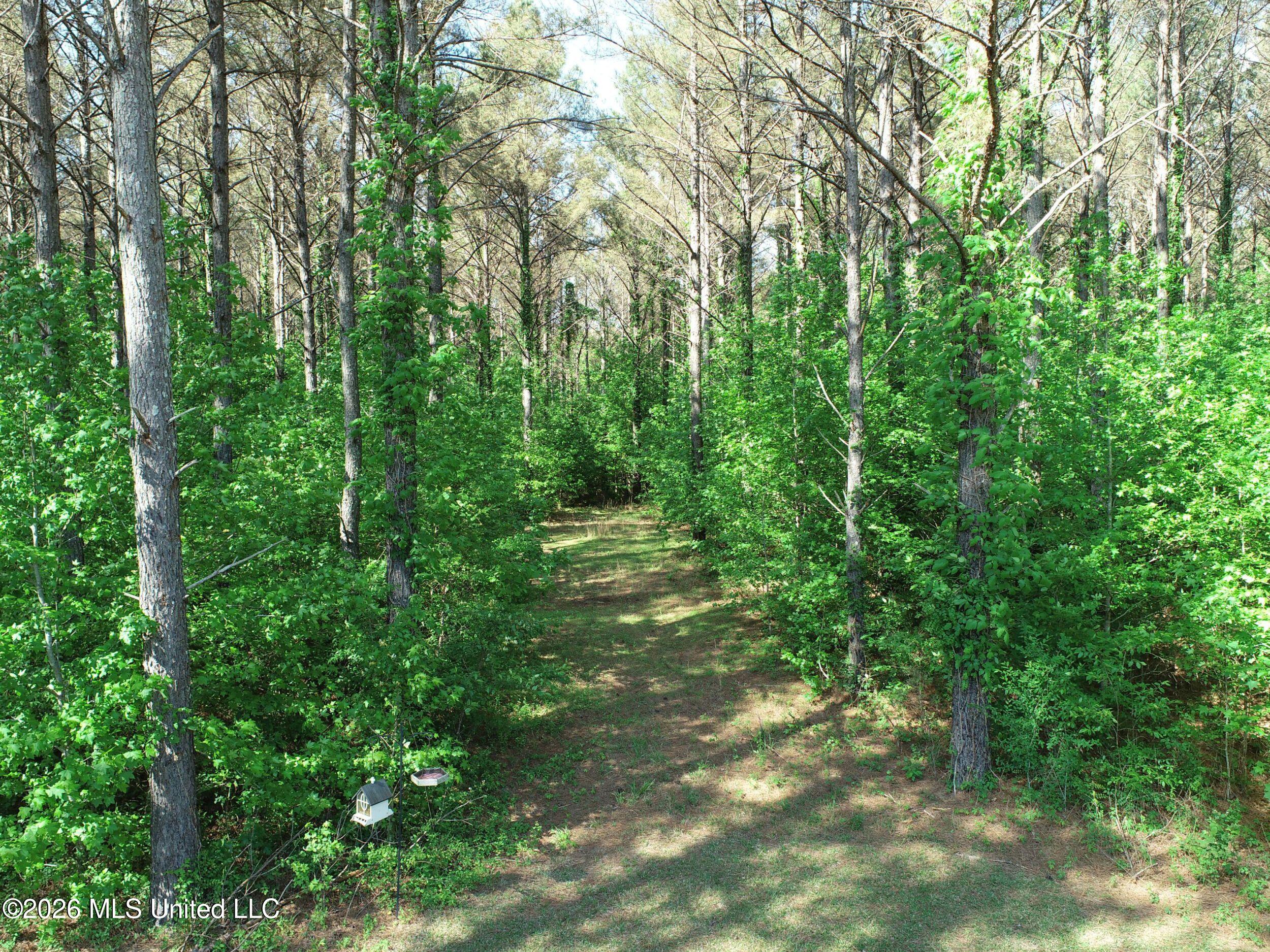 1407 McClyde Road Como, MS 38619 - Photo 16 of 110 2brmcld23