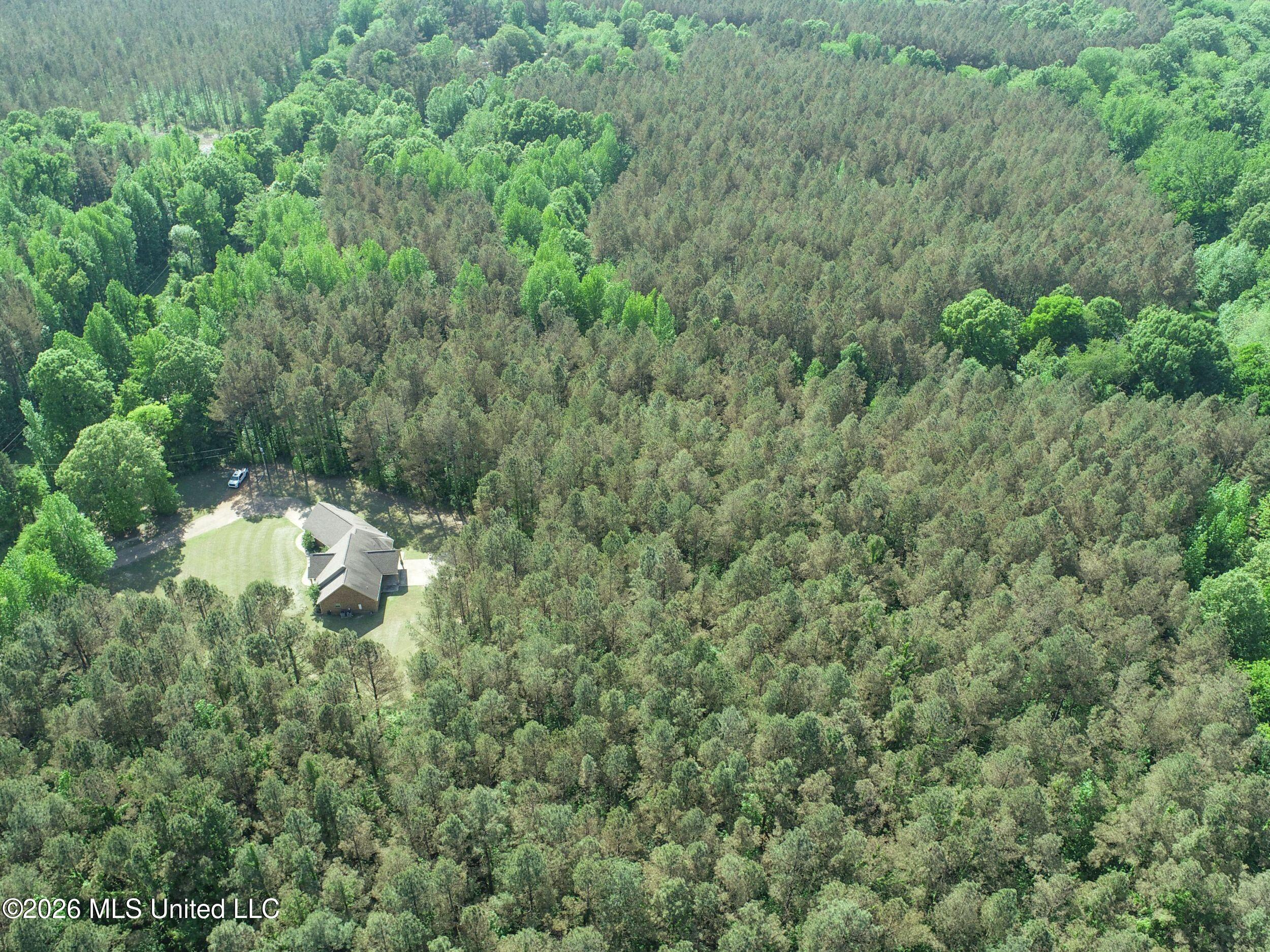 1407 McClyde Road Como, MS 38619 - Photo 8 of 110 2brmcld3