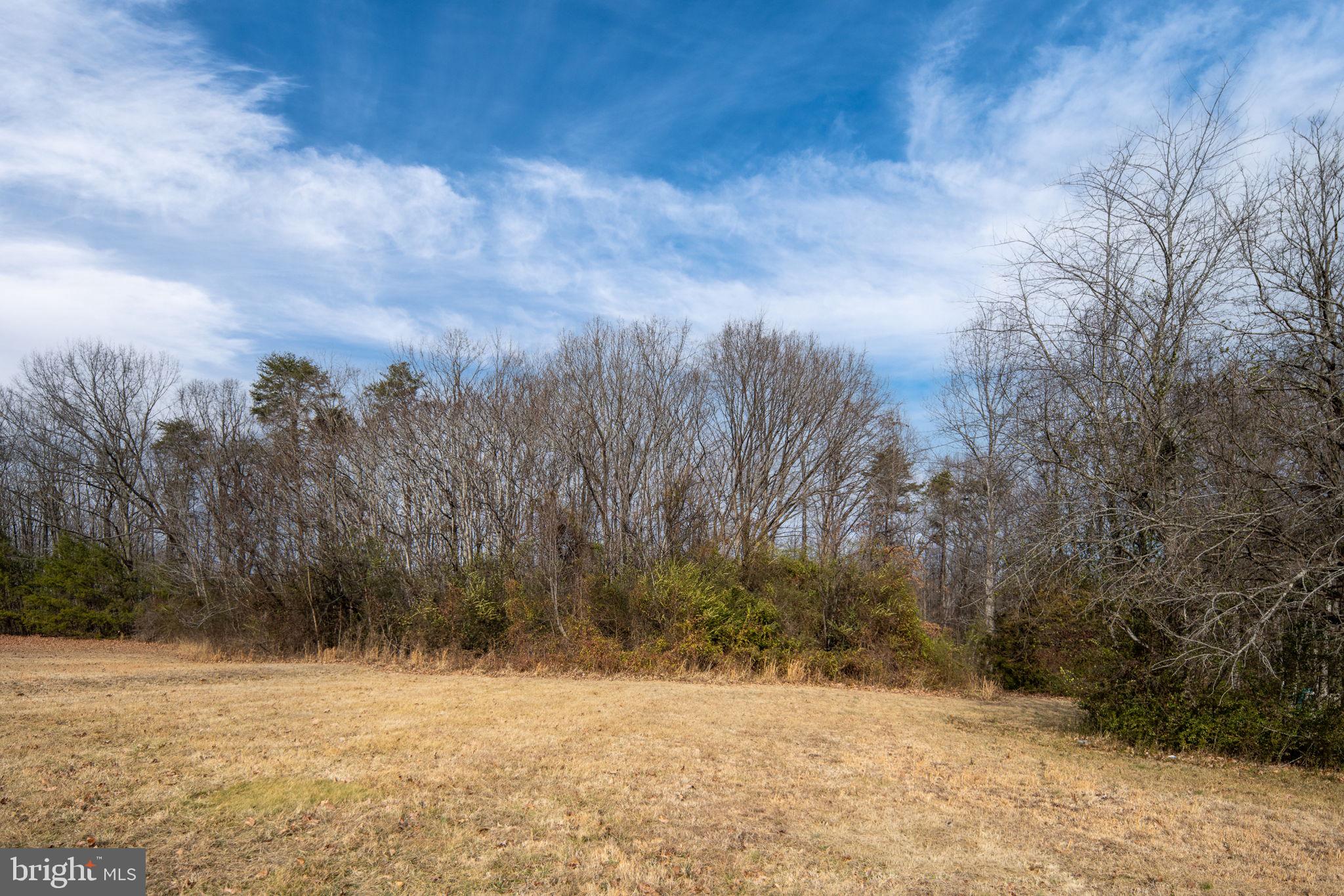 24155 Revercomb Road Lignum, VA 22726 - Photo 22 of 23 COUNTRY SETTING