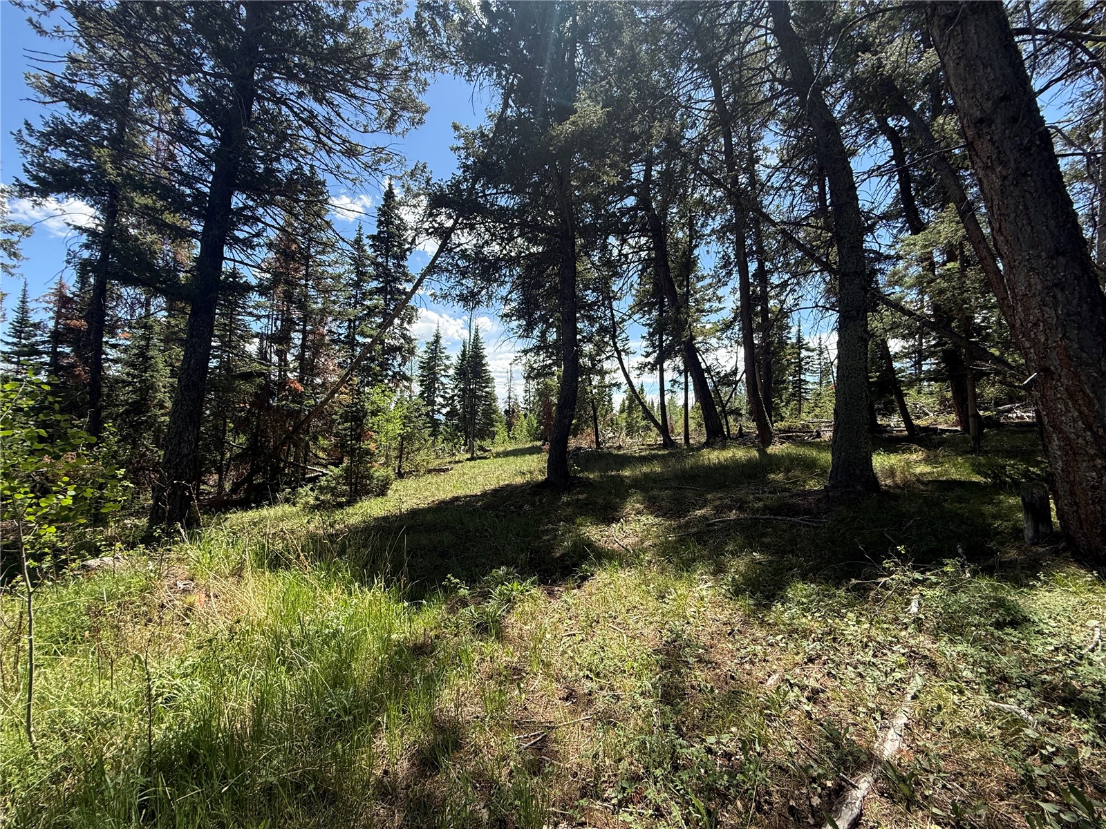 Tbd Spring Creek Ranch Road Silverthorne, CO 80498 - Photo 14 of 48