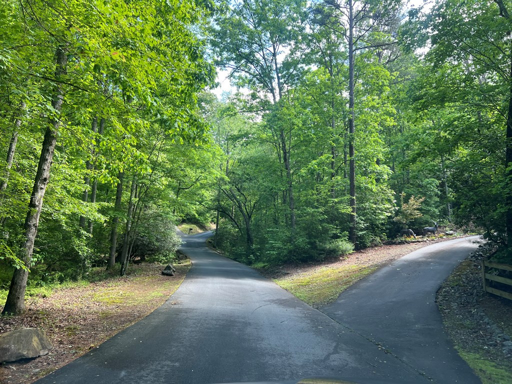 Lot 35 Mission Ridge Hayesville, NC 28904 - Photo 3 of 15