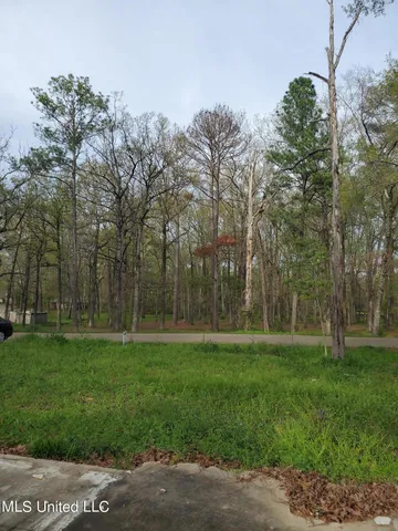 $49,000 | 111 Holly Trail, Brandon, MS 39047