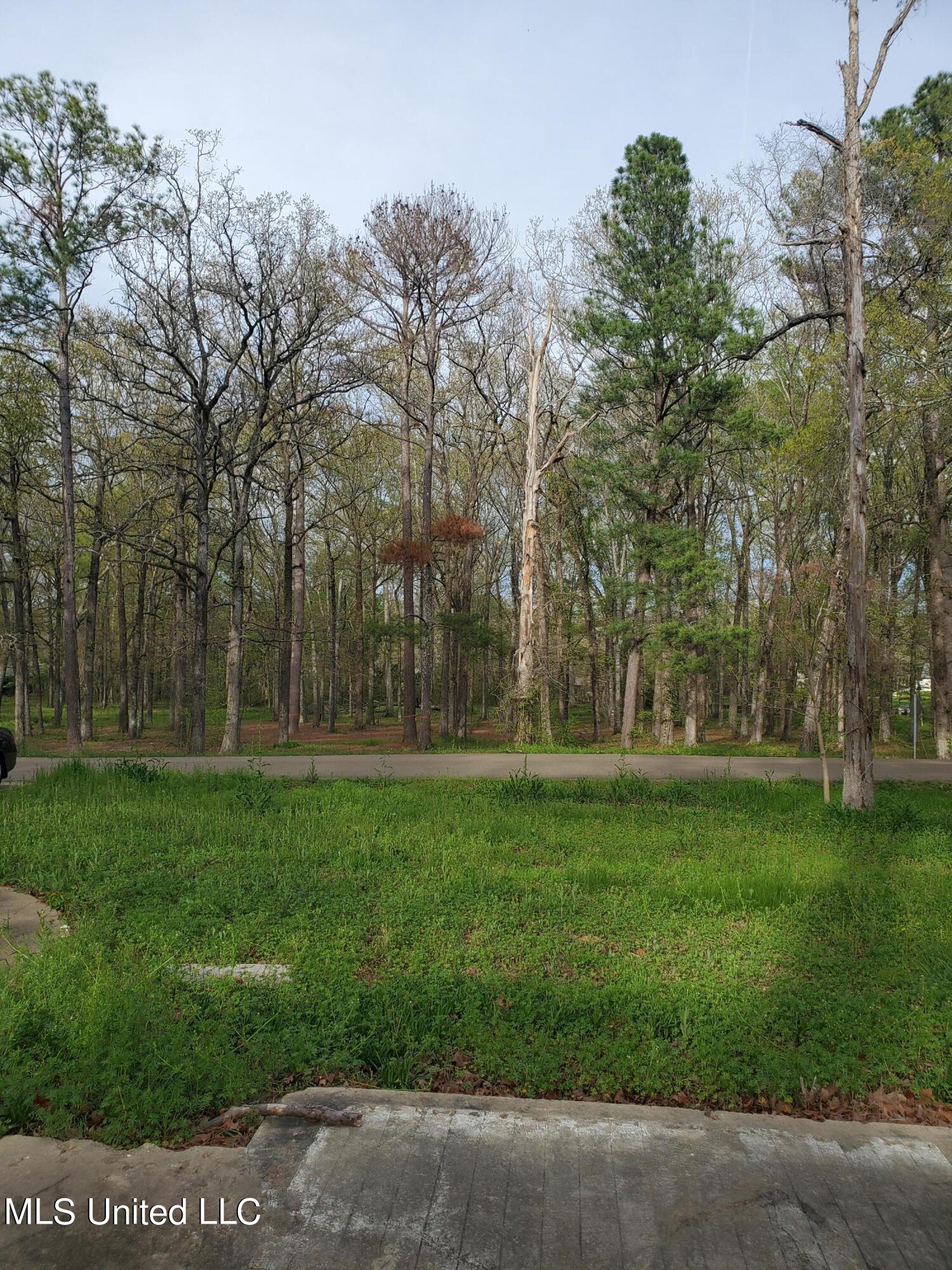 111 Holly Trail Brandon, MS 39047 - Photo 2 of 8 Front of Lot (2)