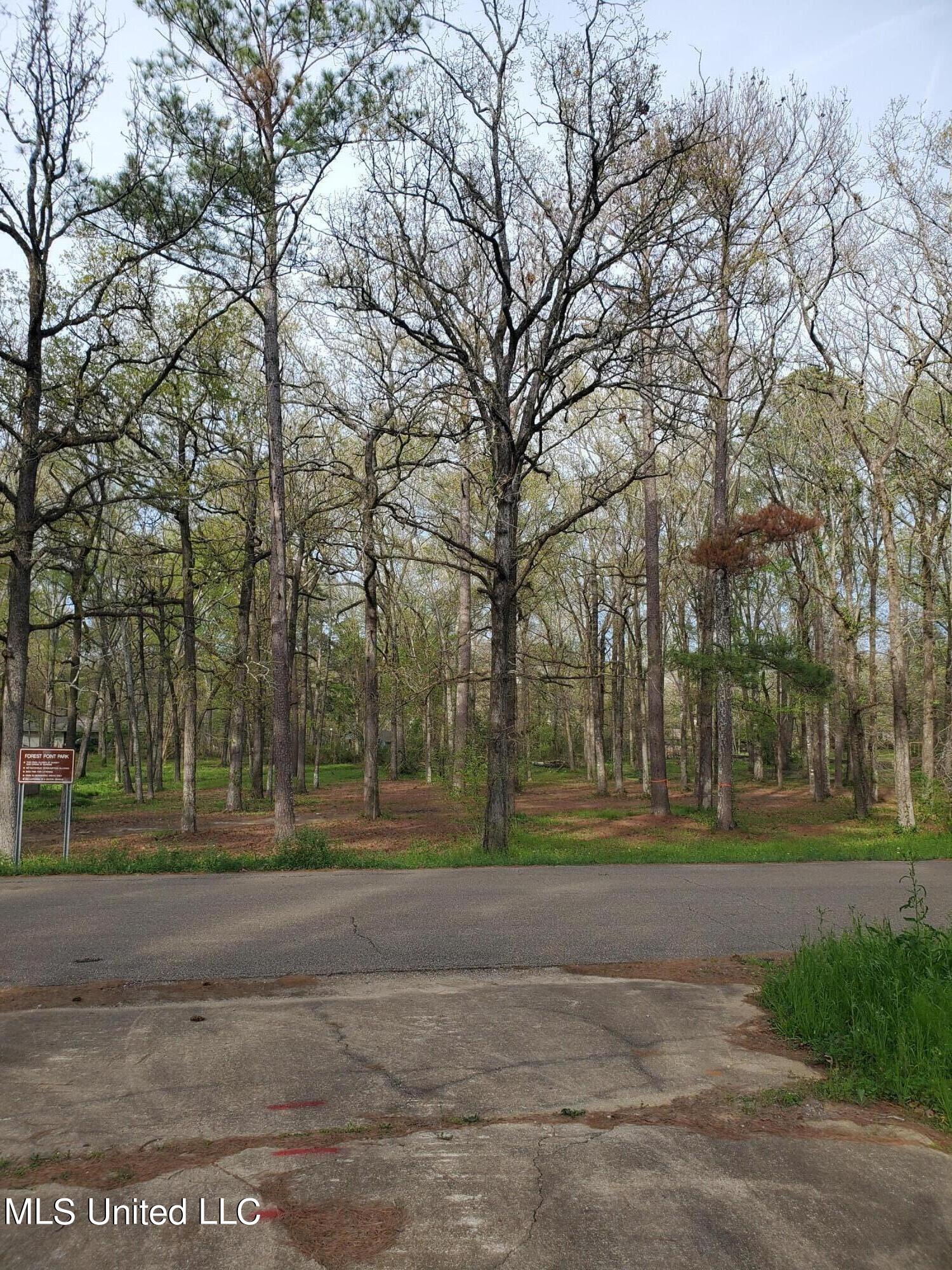 111 Holly Trail Brandon, MS 39047 - Photo 3 of 8 Park accross from lot