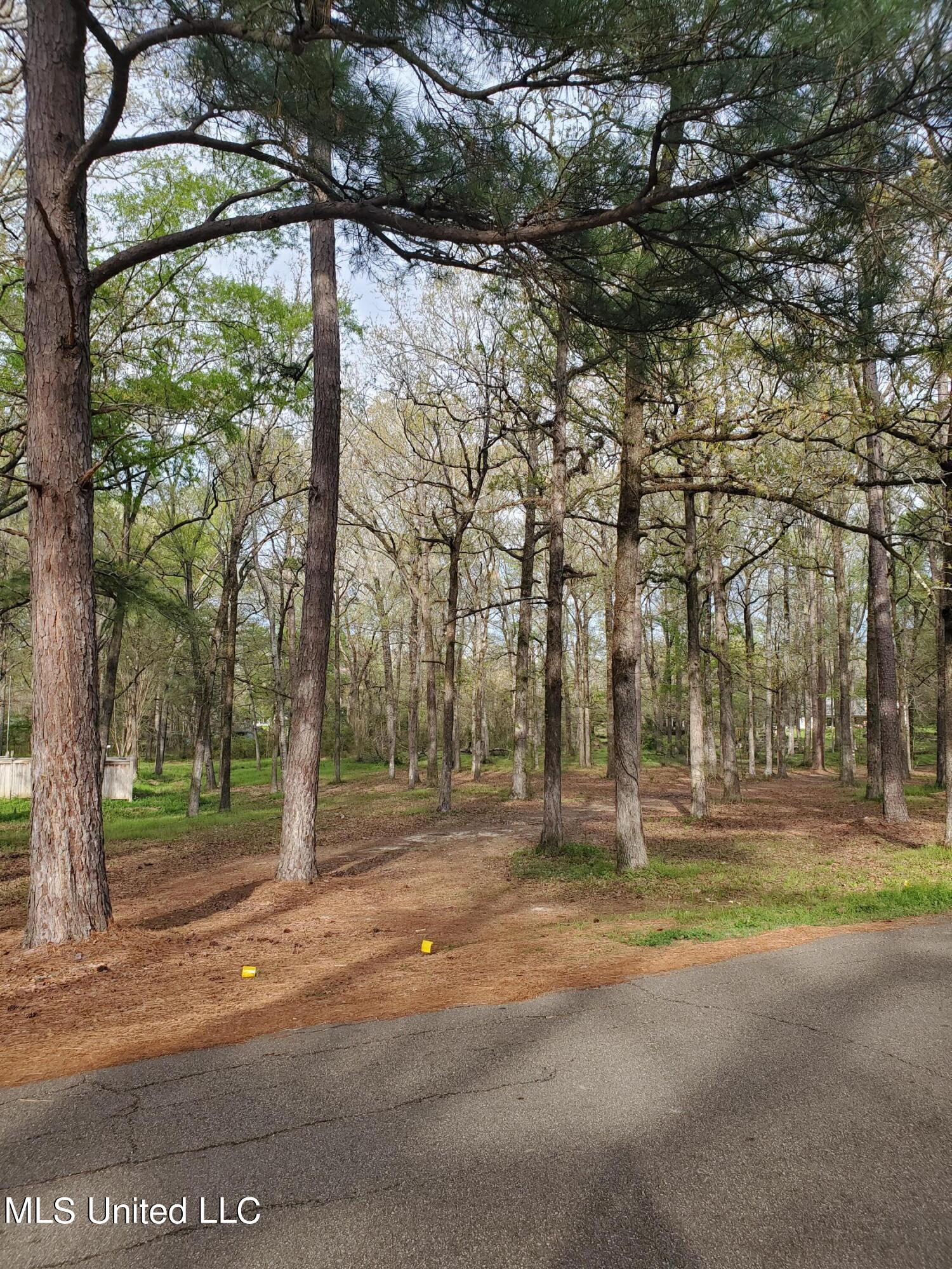 111 Holly Trail Brandon, MS 39047 - Photo 5 of 8 Park Directly accross Street from Lot