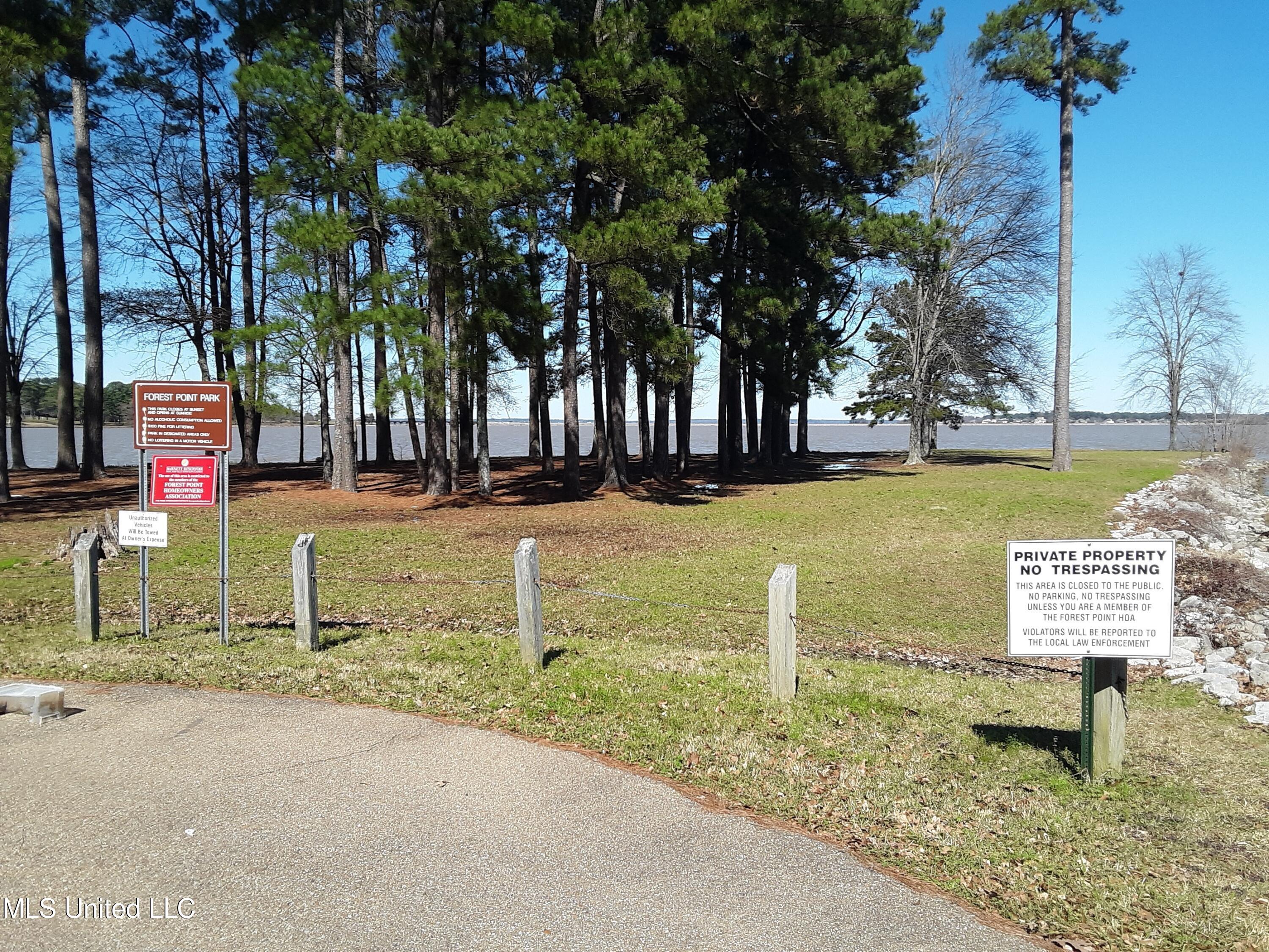 111 Holly Trail Brandon, MS 39047 - Photo 7 of 8 Forest Point Park