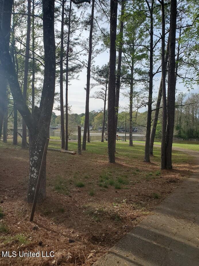 111 Holly Trail Brandon, MS 39047 - Photo 8 of 8 Park at Holly Trail & Oak