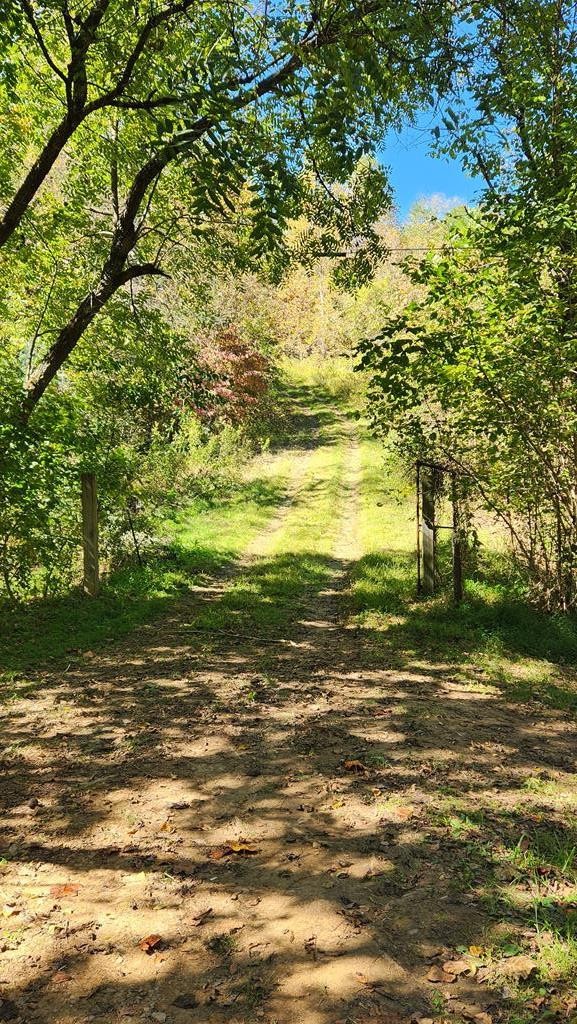 0 Reagan Branch Road Seymour, TN 37865 - Photo 31 of 31