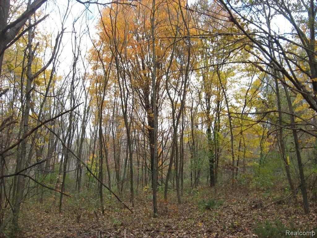 0 Lannen Road Howell, MI 48855 - Photo 12 of 17