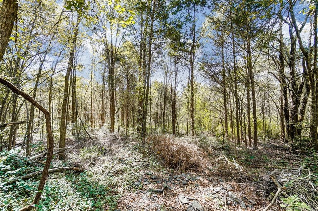 5725 Alexander Road Concord, NC 28027 - Photo 12 of 22