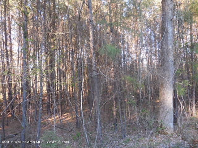 Cove Road Jasper, AL 35504 - Photo 1 of 1 Gallery Image 1