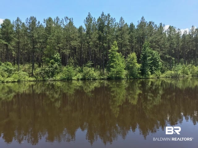 744 Fox Trot Road Grove Hill, AL 36451 - Photo 14 of 46