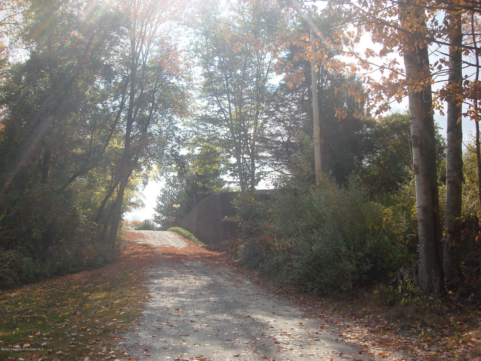 72 Hall Road Laceyville, PA 18623 - Photo 43 of 67 a view of forest