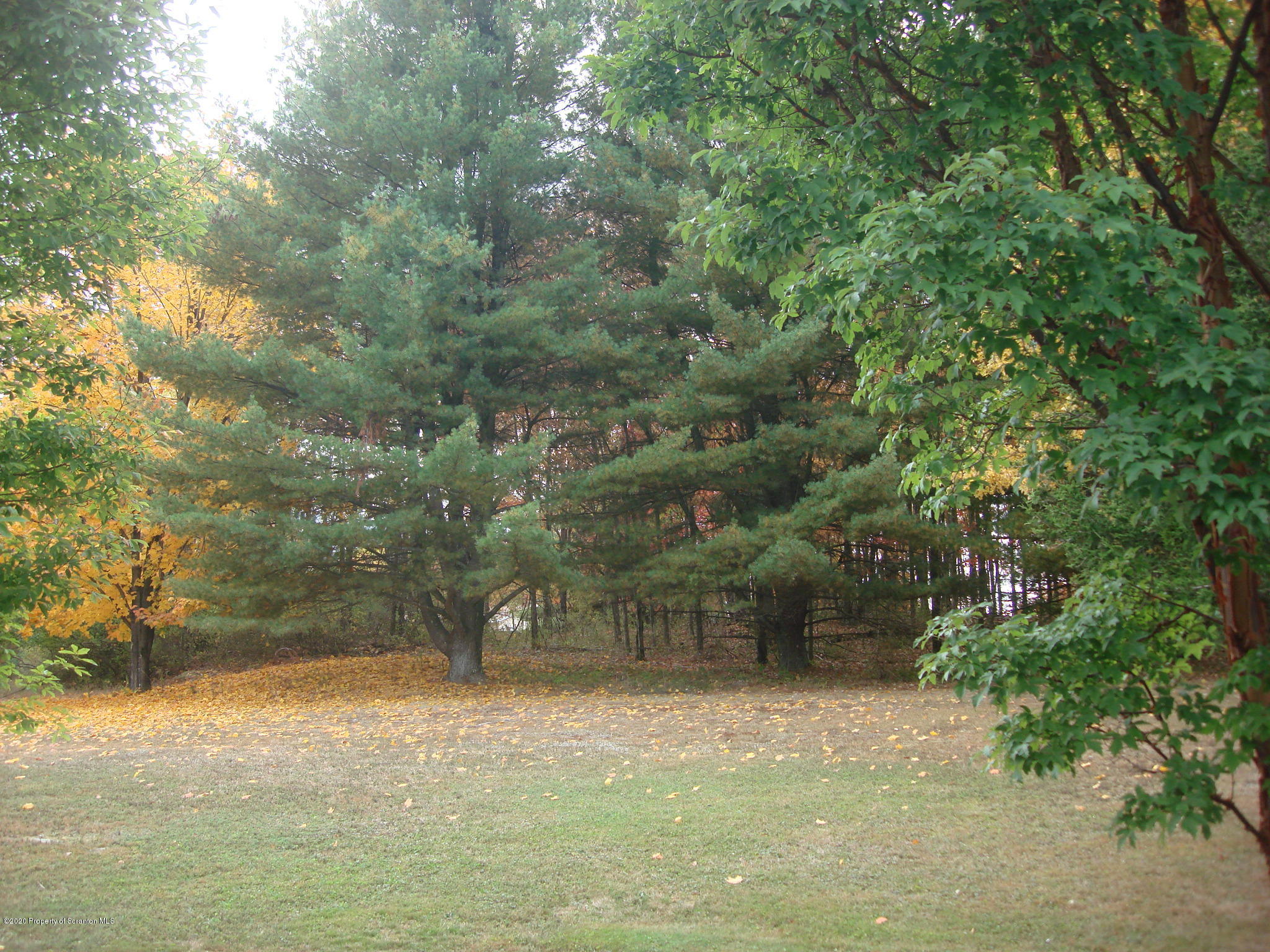 72 Hall Road Laceyville, PA 18623 - Photo 49 of 67 a backyard of a house with lots of green space