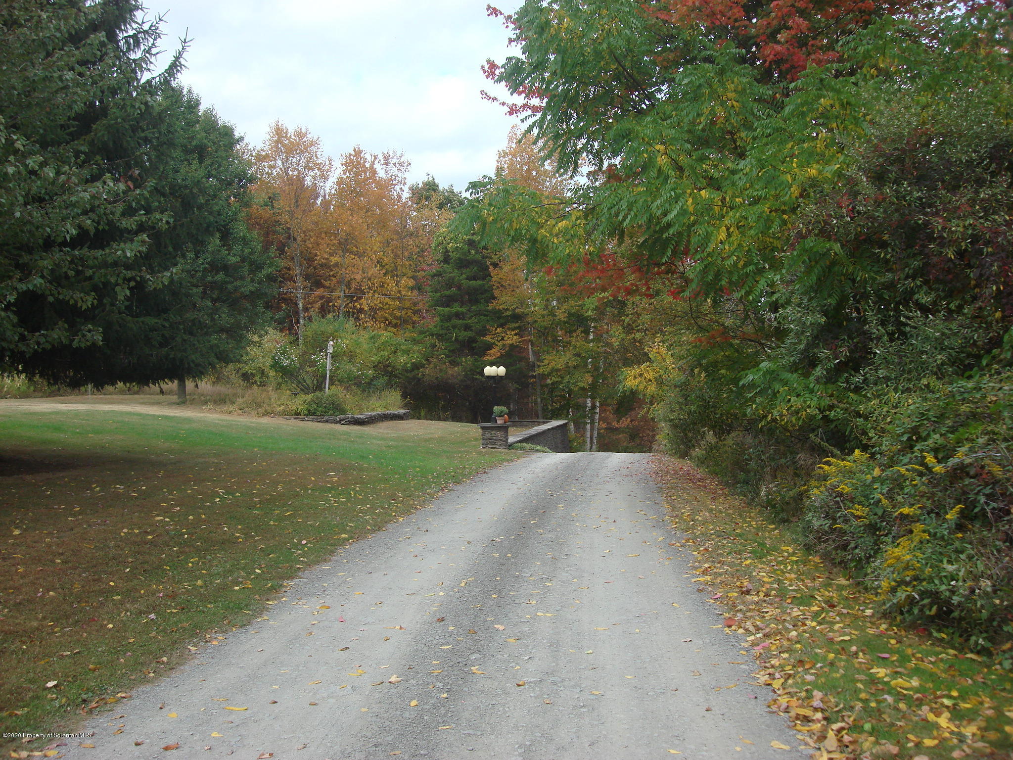 72 Hall Road Laceyville, PA 18623 - Photo 52 of 67 a view of a yard with plants and trees