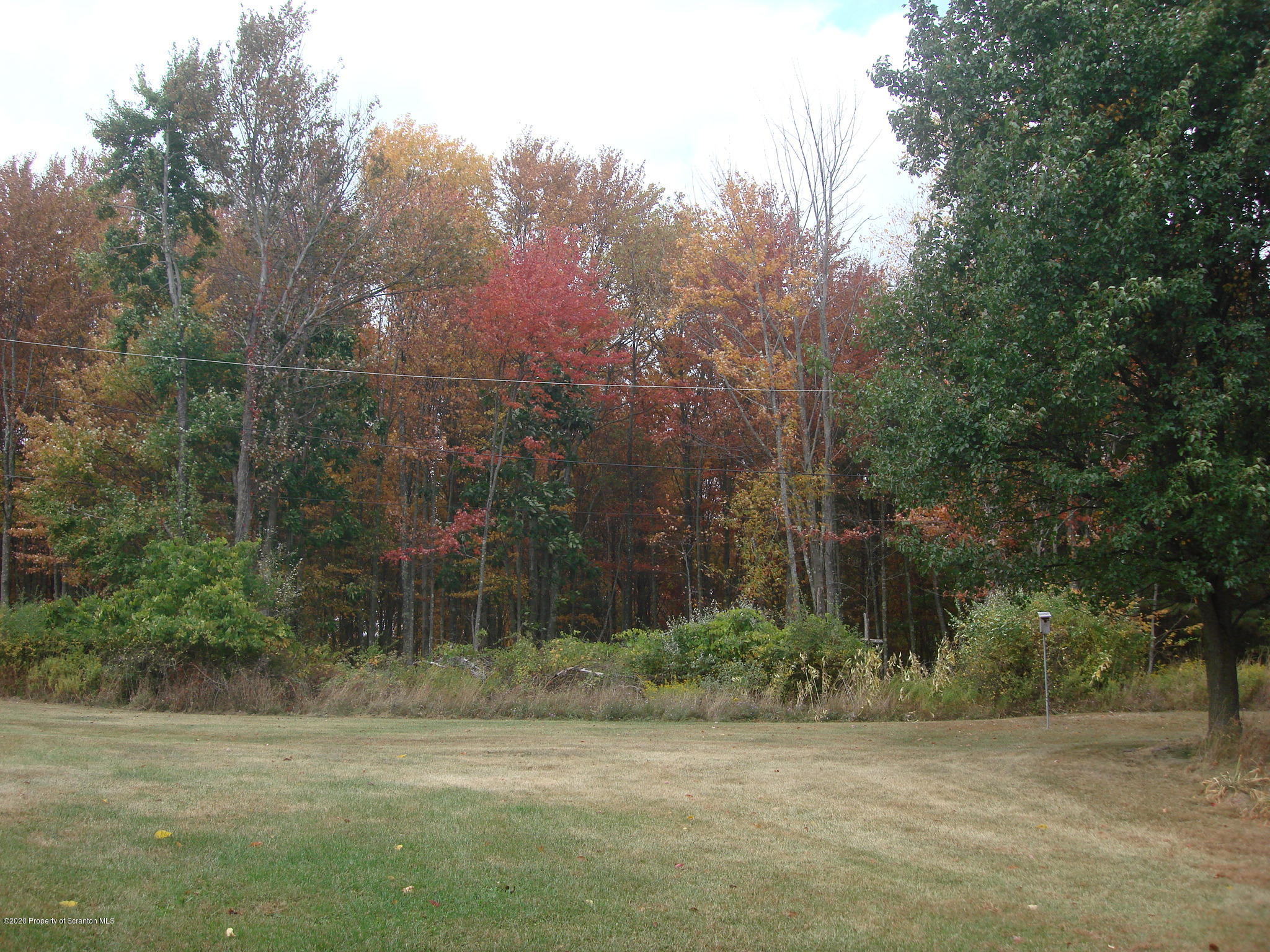 72 Hall Road Laceyville, PA 18623 - Photo 57 of 67 a view of a field with a trees