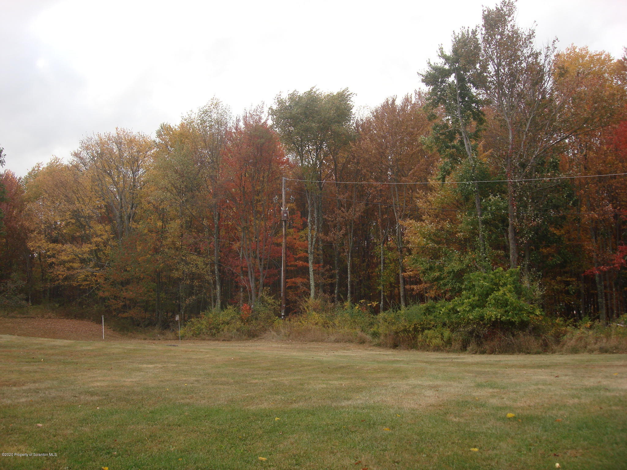 72 Hall Road Laceyville, PA 18623 - Photo 58 of 67 a view of a field with trees in the background