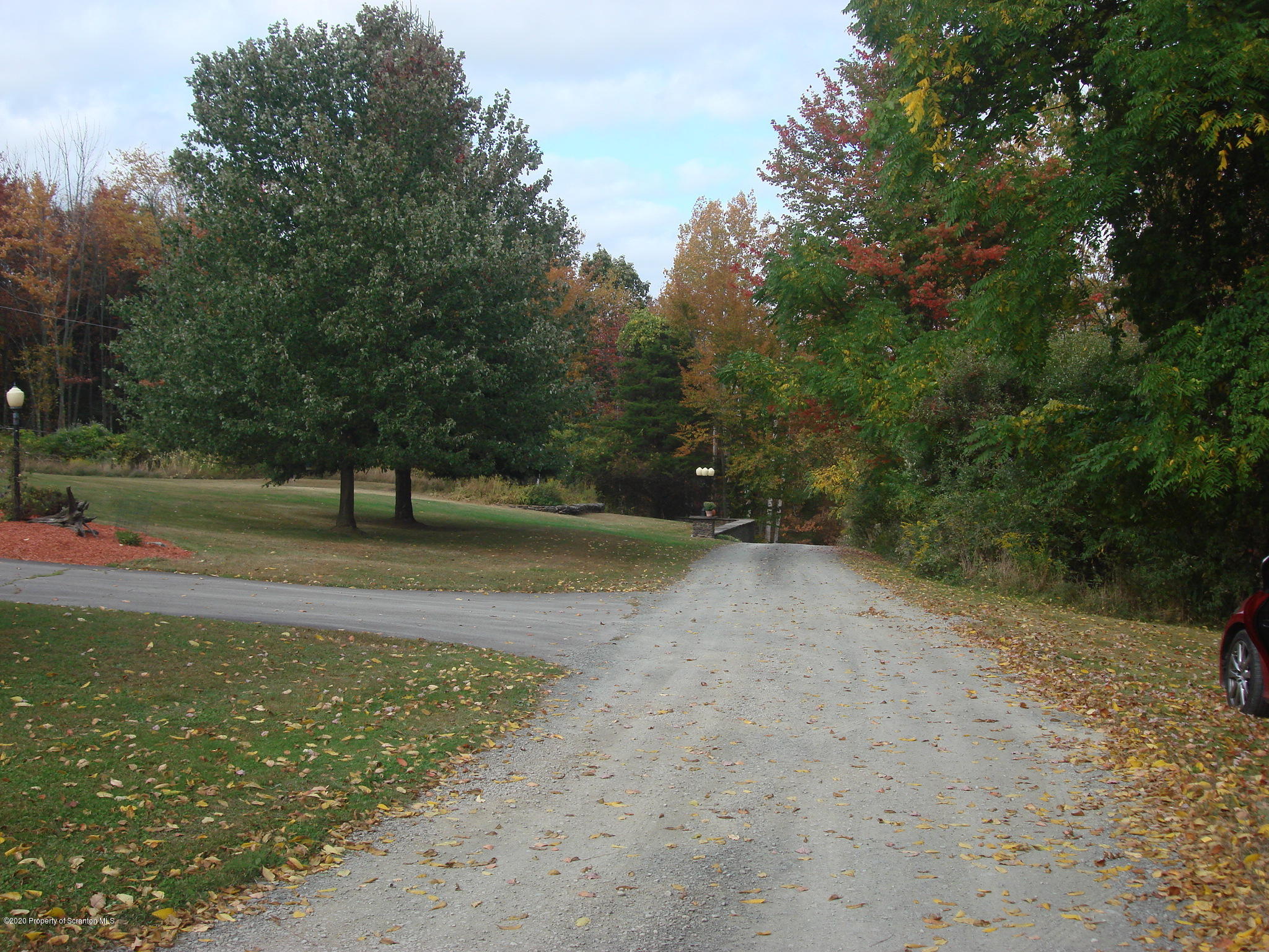 72 Hall Road Laceyville, PA 18623 - Photo 64 of 67 a view of a yard with a tree