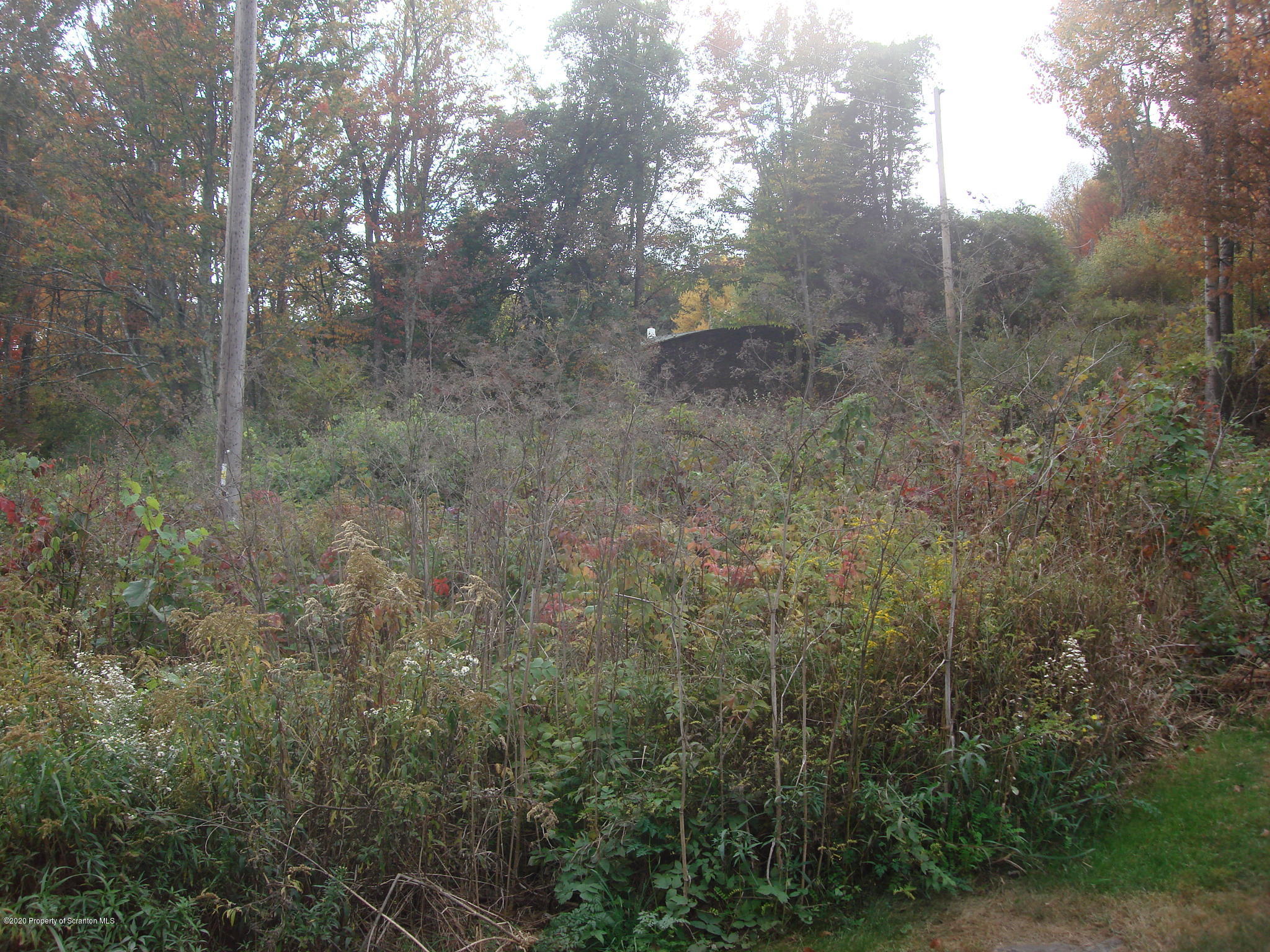 72 Hall Road Laceyville, PA 18623 - Photo 65 of 67 a view of a forest that has large trees