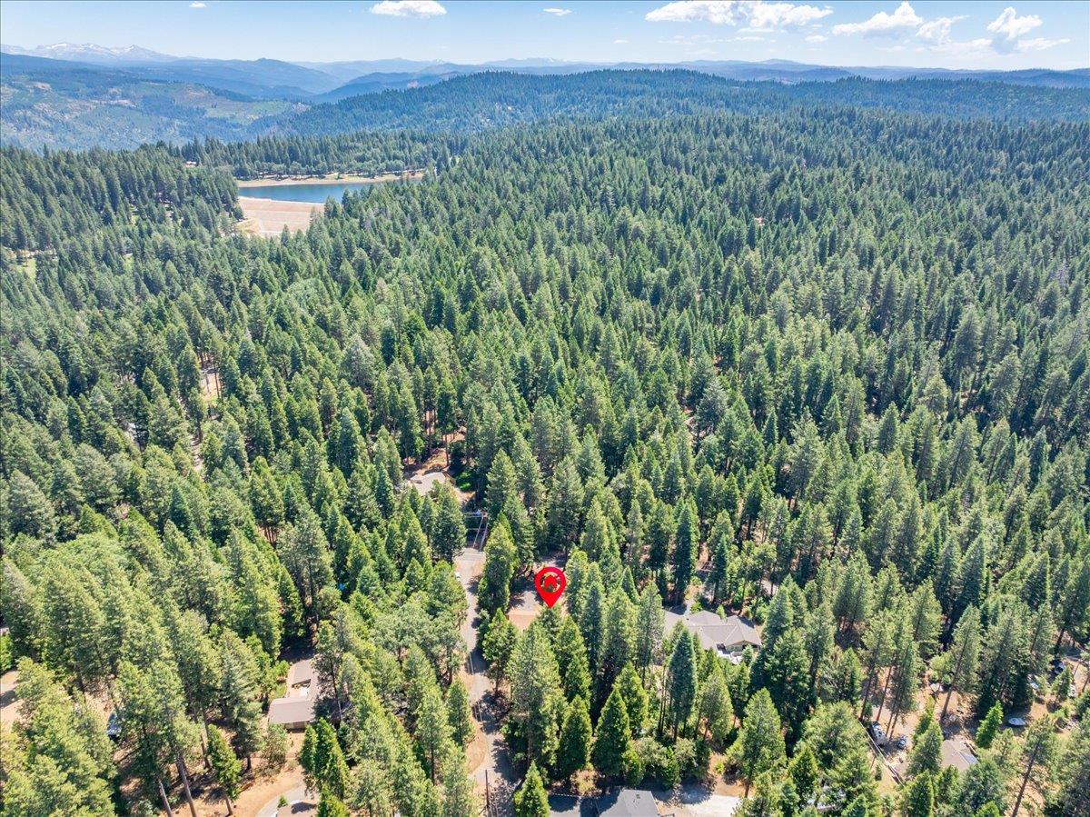 2226 Blair Road Pollock Pines, CA 95726 - Photo 49 of 58
