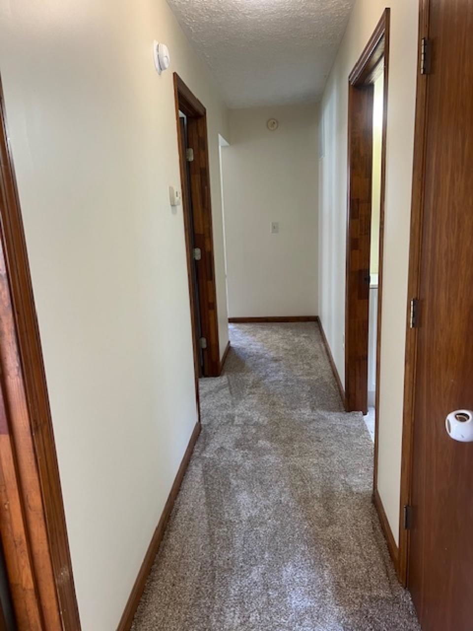 373 Mullins Hollow Road Sandy Hook, KY 41171 - Photo 6 of 17