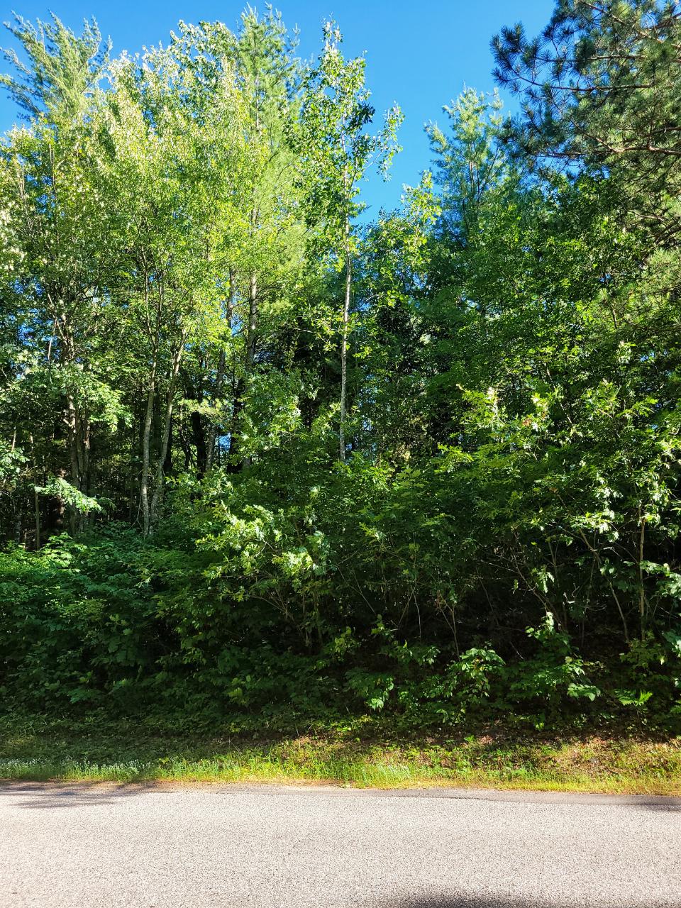 Lot 11 Shore Drive Rhinelander, WI 54501 - Photo 5 of 7 Gallery Image 5