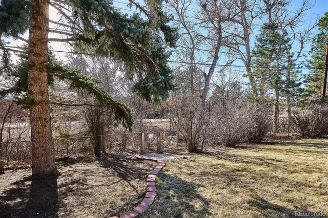 a view of backyard space with large trees