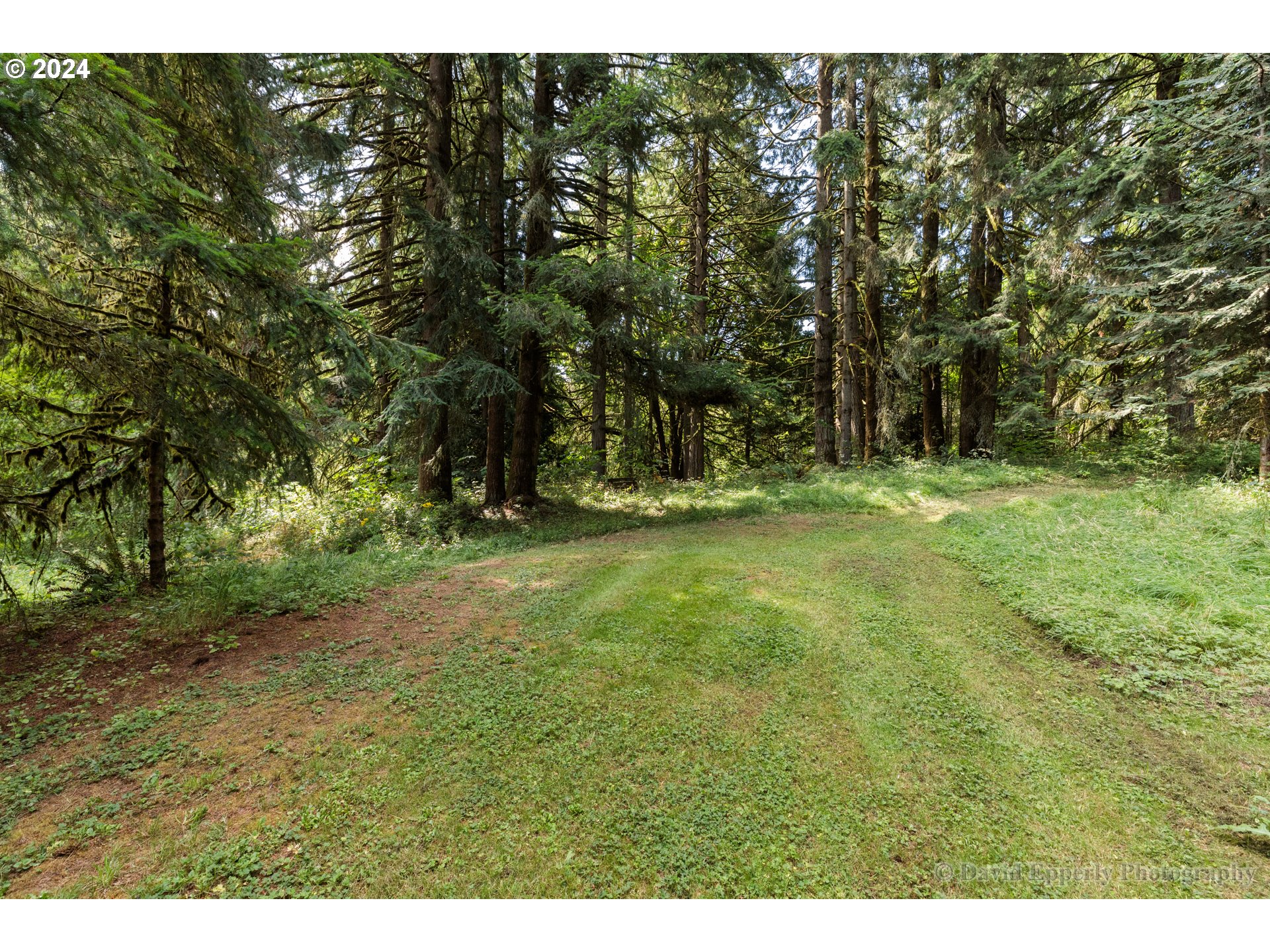 65720 Anliker Road Deer Island, OR 97054 - Photo 23 of 31 Yard