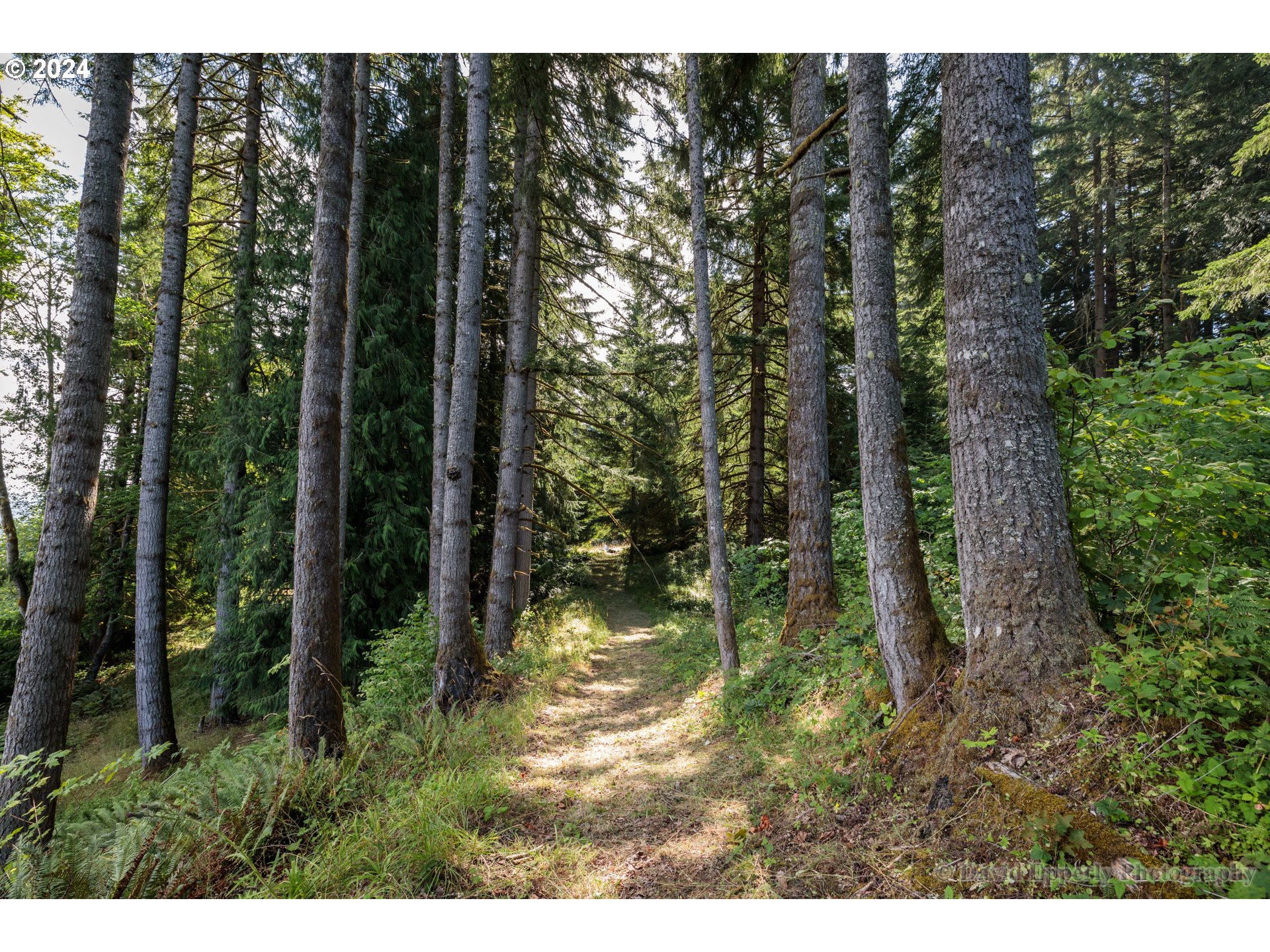 65720 Anliker Road Deer Island, OR 97054 - Photo 25 of 31 Gallery Image 25