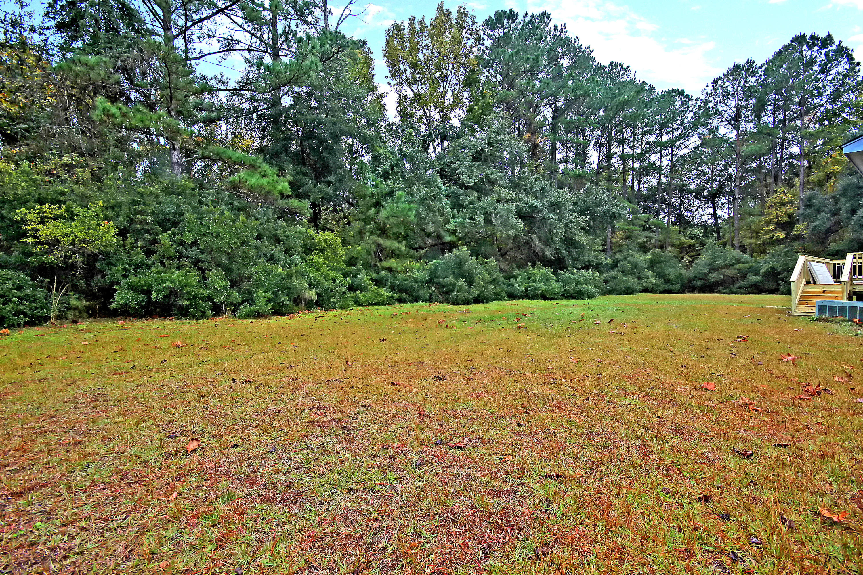 3231 Cape Road Johns Island, SC 29455 - Photo 8 of 27 IMG_0773 copy