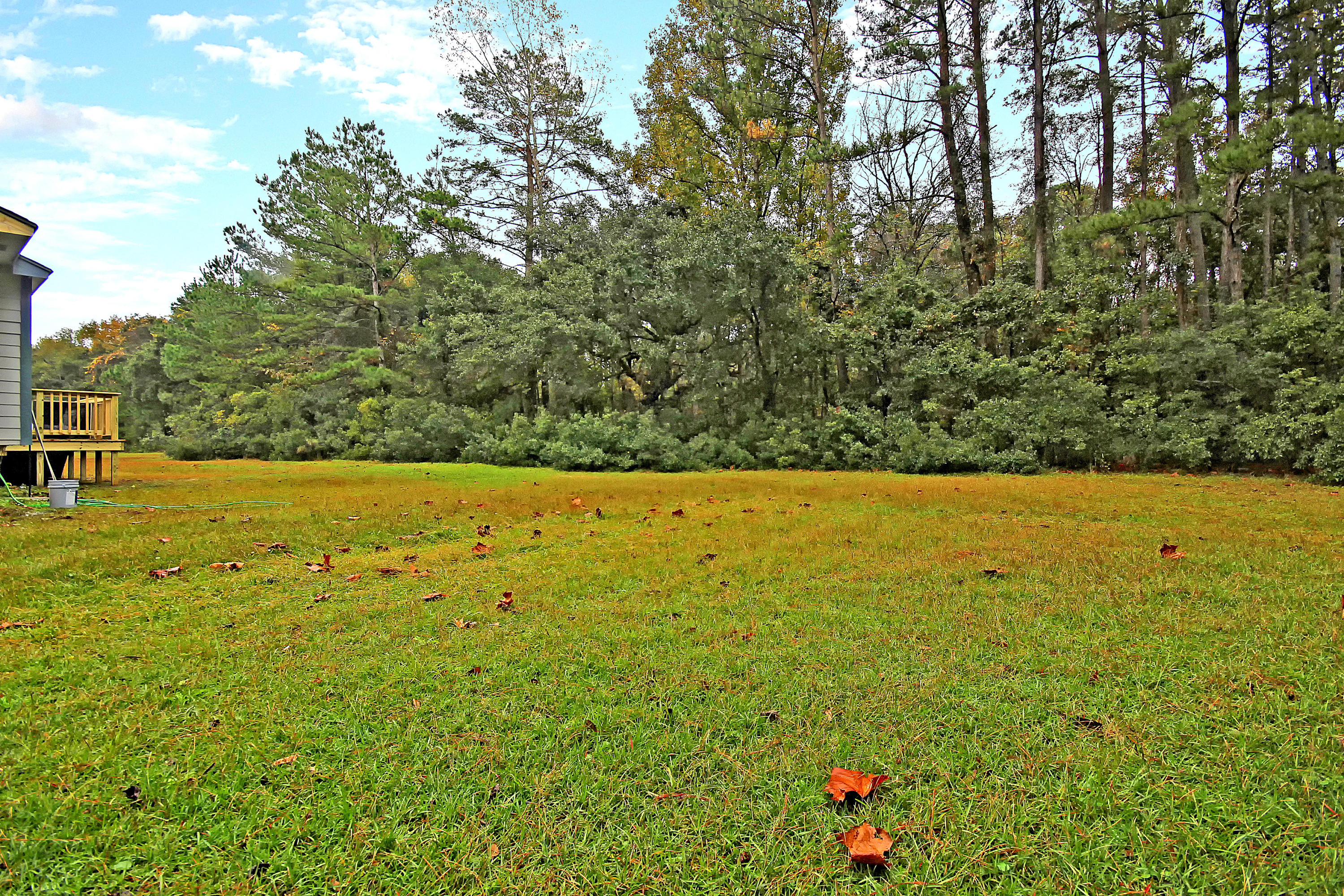 3231 Cape Road Johns Island, SC 29455 - Photo 9 of 27 IMG_0786 copy